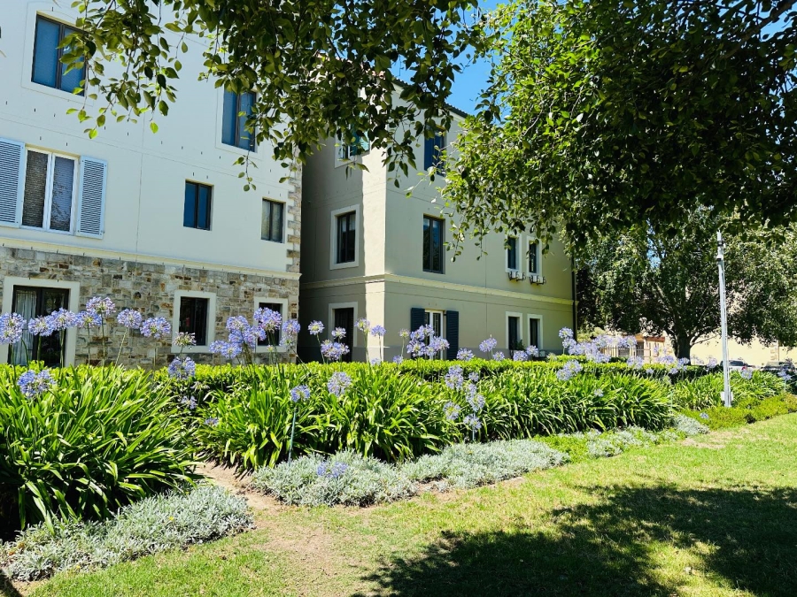 To Let 3 Bedroom Property for Rent in Rosendal Western Cape